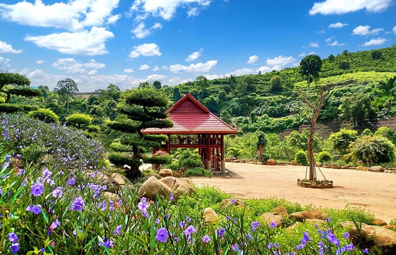 ĐÀ LẠT –  TP. HỒ CHÍ MINH                                            Số bữa ăn: 2 bữa (sáng, trưa)